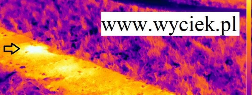 Kamera termowizyjna - narzędzie do lokalizacji wycieków wody