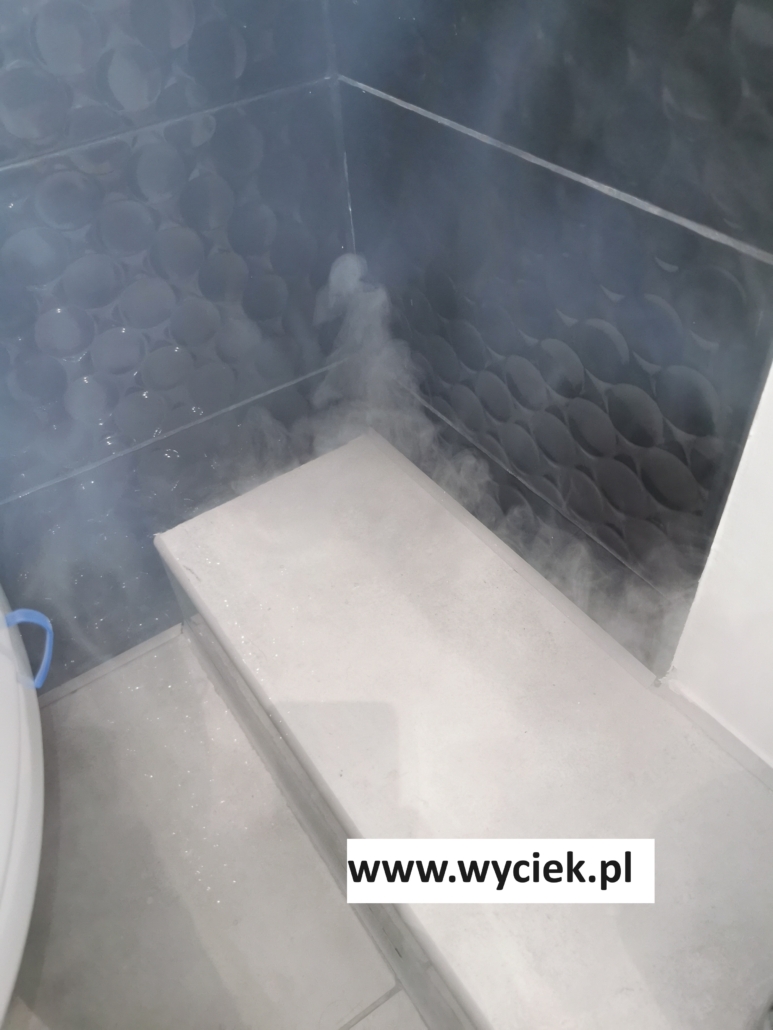 Lokalizacja wycieków wody w Wodzisławiu Śląskim i wykrywanie odorów kanalizacyjnych