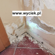 Badanie barwnikiem do sprawdzania kanalizacji