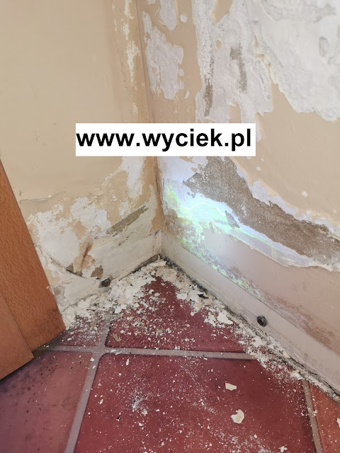 Badanie barwnikiem do sprawdzania kanalizacji