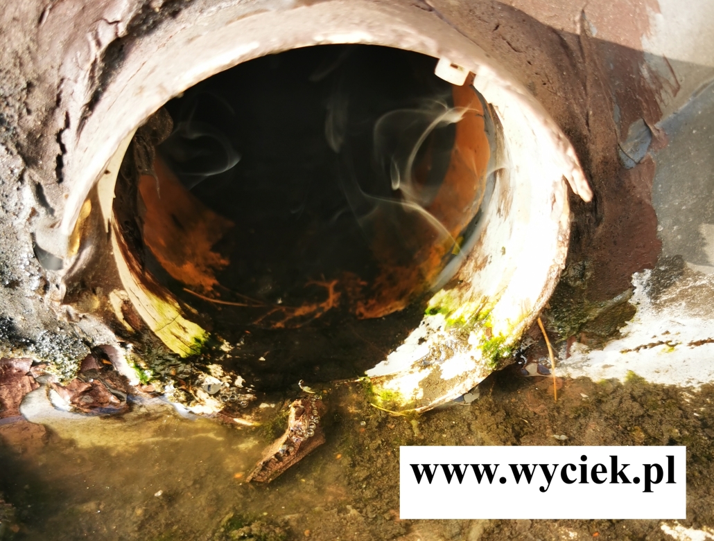 wykrywanie przecieku z dachu płaskiego