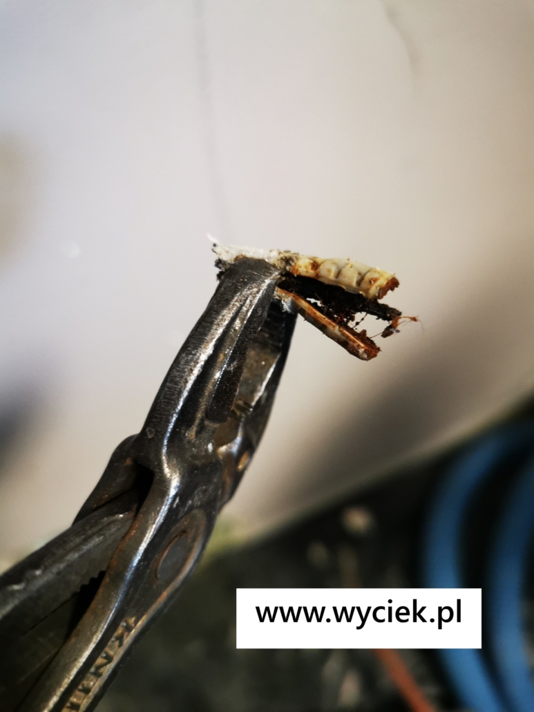 uszkodzona rura w kanalizacji