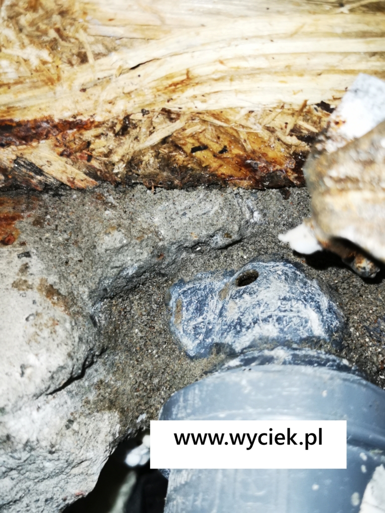 zalany dom przez wyciek z kanalizacji