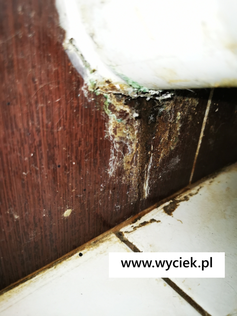 wyciek wody z podłączenia toalety