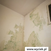 zalana ściana w łazience