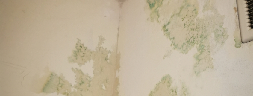 zalana ściana w łazience