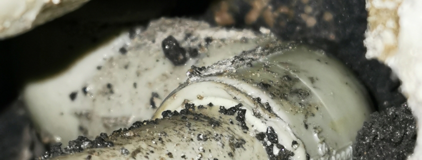 Wyciek wody w Katowicach